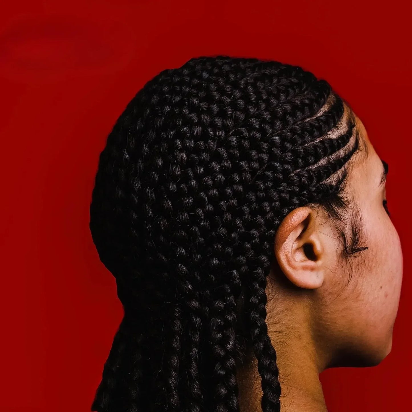 1000 RUBBER BANDS 1/2" #BLACK