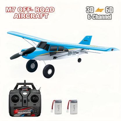 Remote Control Airplane