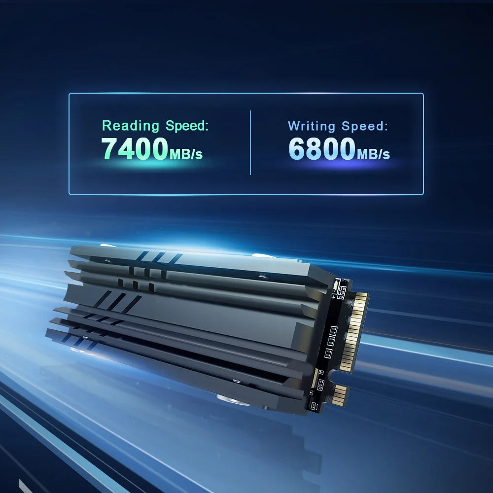 Internal Solid State Hard Disk