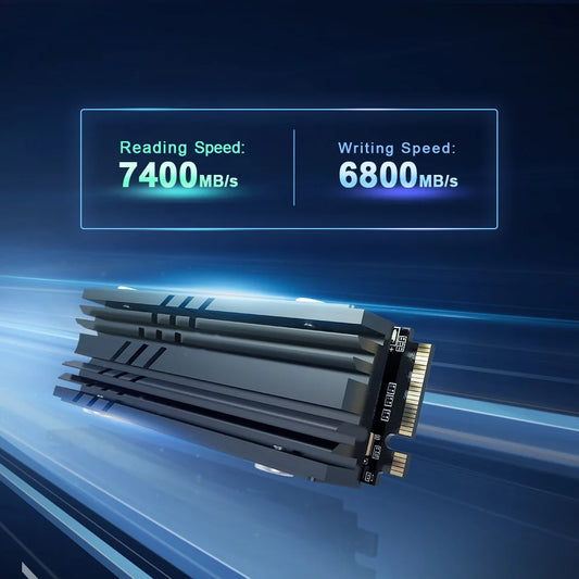 Internal Solid State Hard Disk